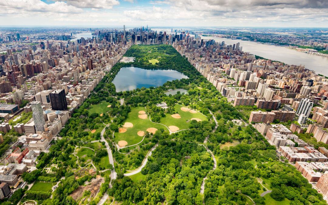 Central Park a New York