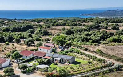 La Littighedda: un rifugio di benessere tra natura, piscina e mare della Gallura